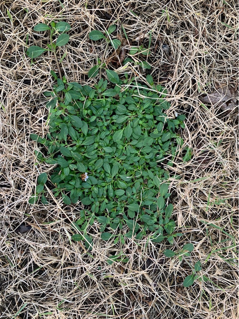 f:id:tantanutakey:20220618134118j:image