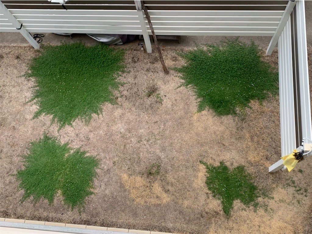 f:id:tantanutakey:20220820103104j:image f:id:tantanutakey:20220820103104j:image