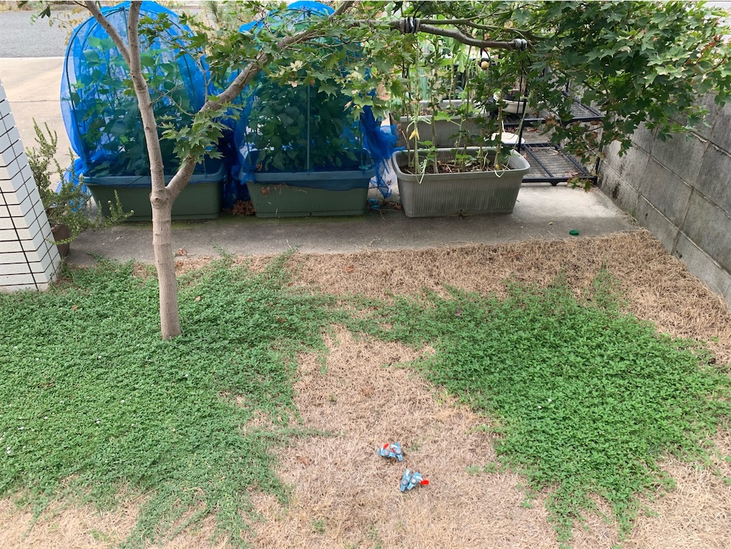 f:id:tantanutakey:20220820103107j:image f:id:tantanutakey:20220820103107j:image