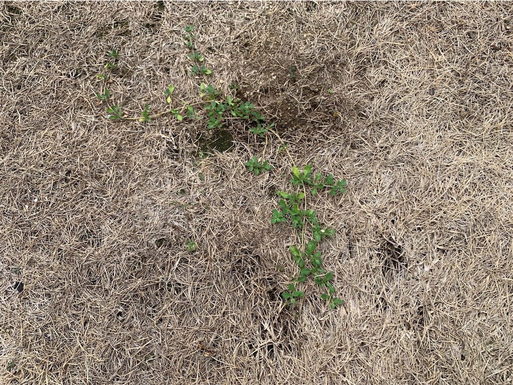 f:id:tantanutakey:20220820103111j:image f:id:tantanutakey:20220820103111j:image