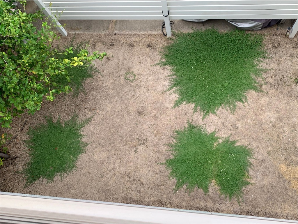 f:id:tantanutakey:20220820103122j:image f:id:tantanutakey:20220820103122j:image