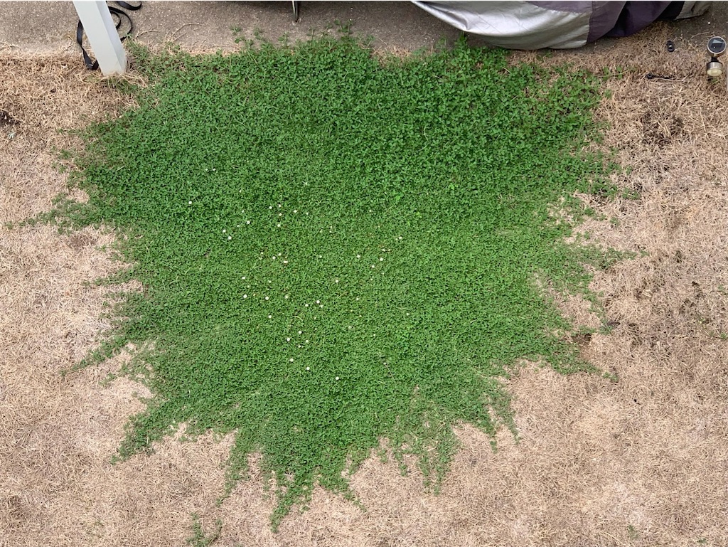 f:id:tantanutakey:20220820103130j:image f:id:tantanutakey:20220820103130j:image