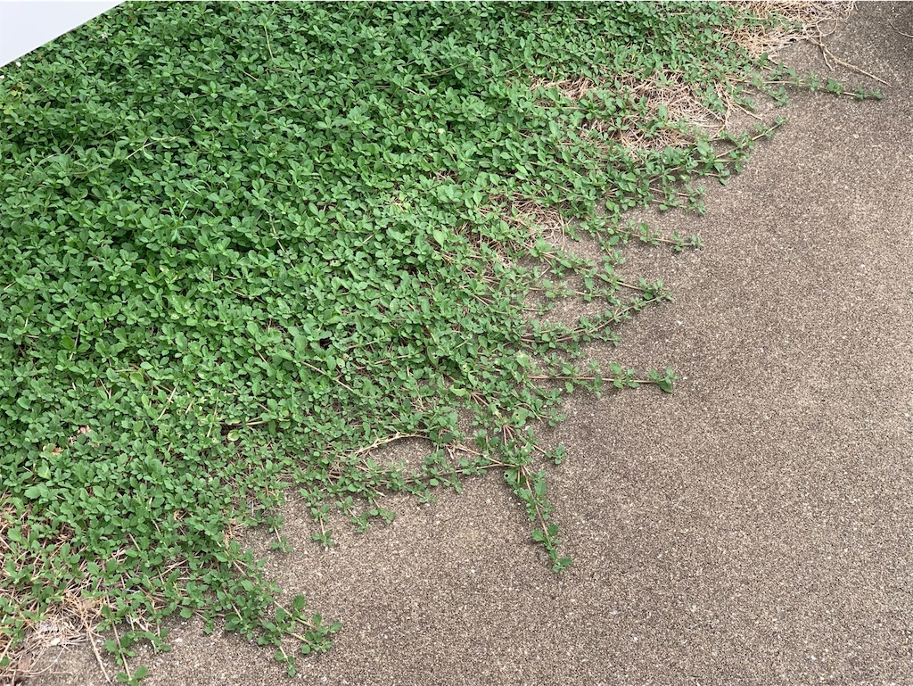 f:id:tantanutakey:20220820103133j:image f:id:tantanutakey:20220820103133j:image