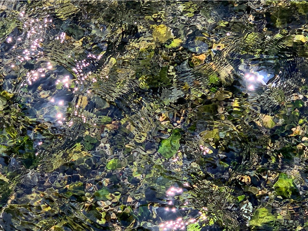 f:id:tantanutakey:20220927210252j:image