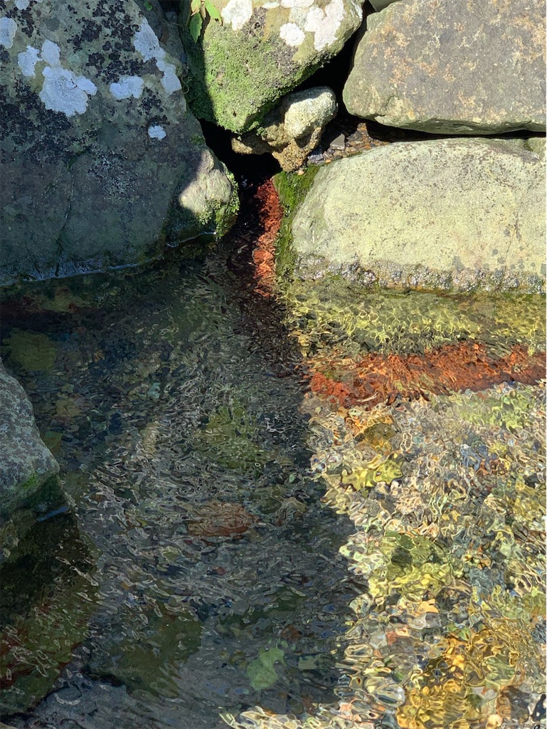 f:id:tantanutakey:20220927210410j:image