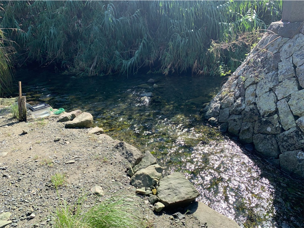 f:id:tantanutakey:20220927210554j:image