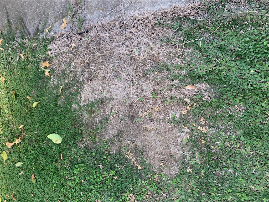 f:id:tantanutakey:20221112165505j:image