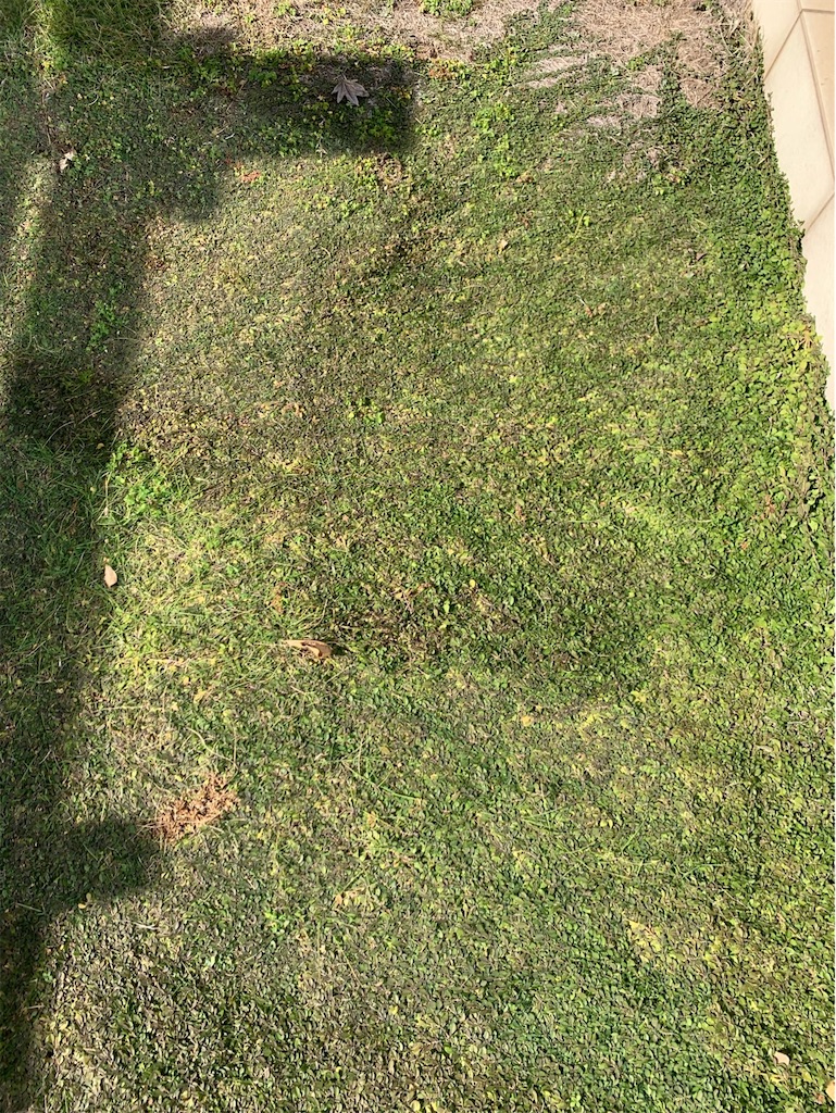 f:id:tantanutakey:20221112165512j:image