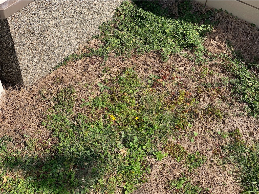 f:id:tantanutakey:20221112165523j:image