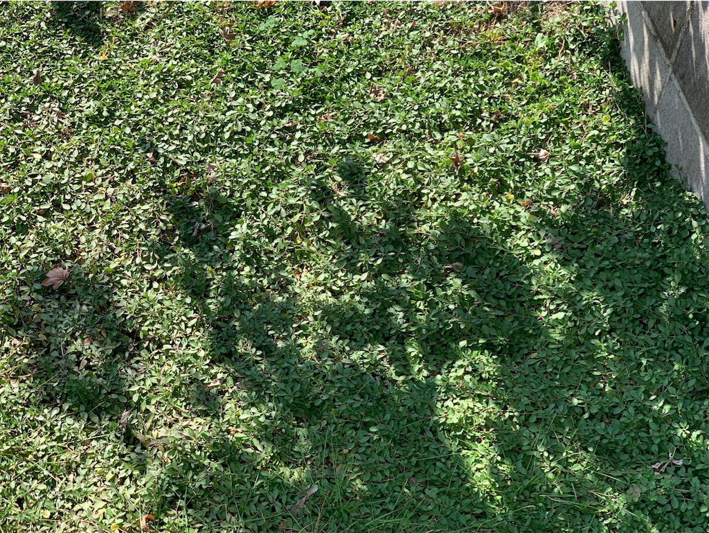 f:id:tantanutakey:20221112165529j:image