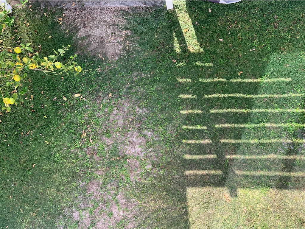 f:id:tantanutakey:20221112165532j:image