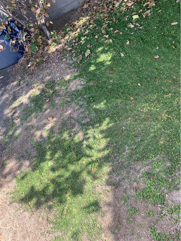 f:id:tantanutakey:20221112165535j:image