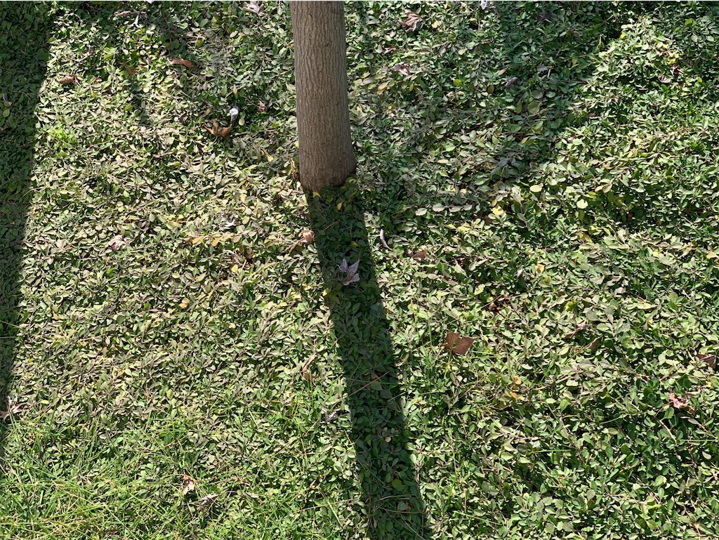 f:id:tantanutakey:20221112165656j:image