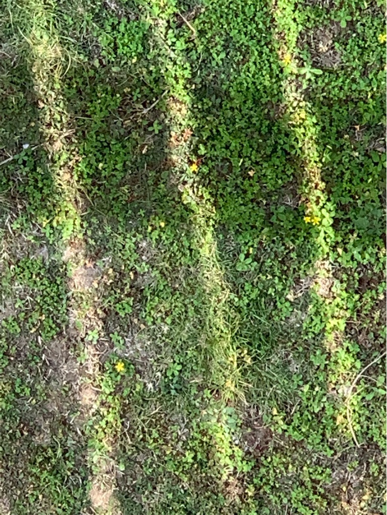 f:id:tantanutakey:20221112165702j:image