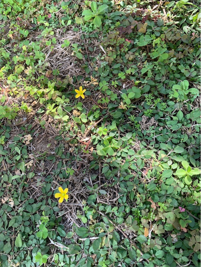 f:id:tantanutakey:20221112165707j:image