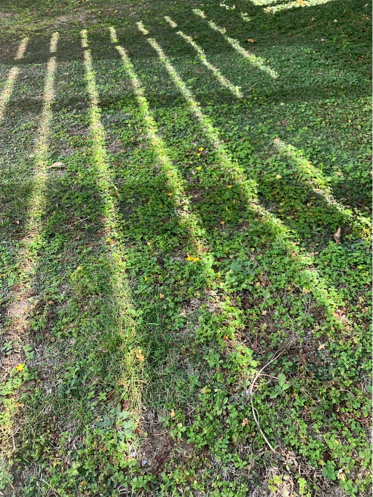 f:id:tantanutakey:20221112165717j:image