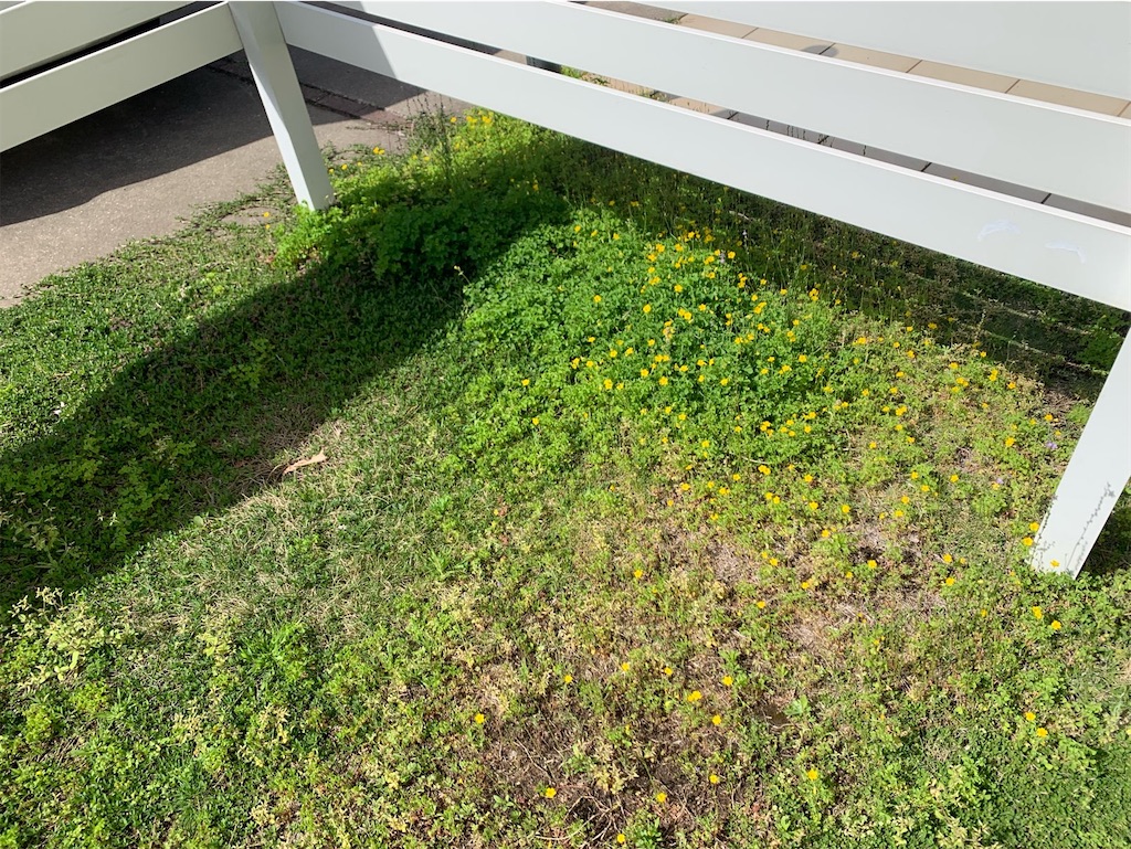 f:id:tantanutakey:20230416172326j:image f:id:tantanutakey:20230416172326j:image