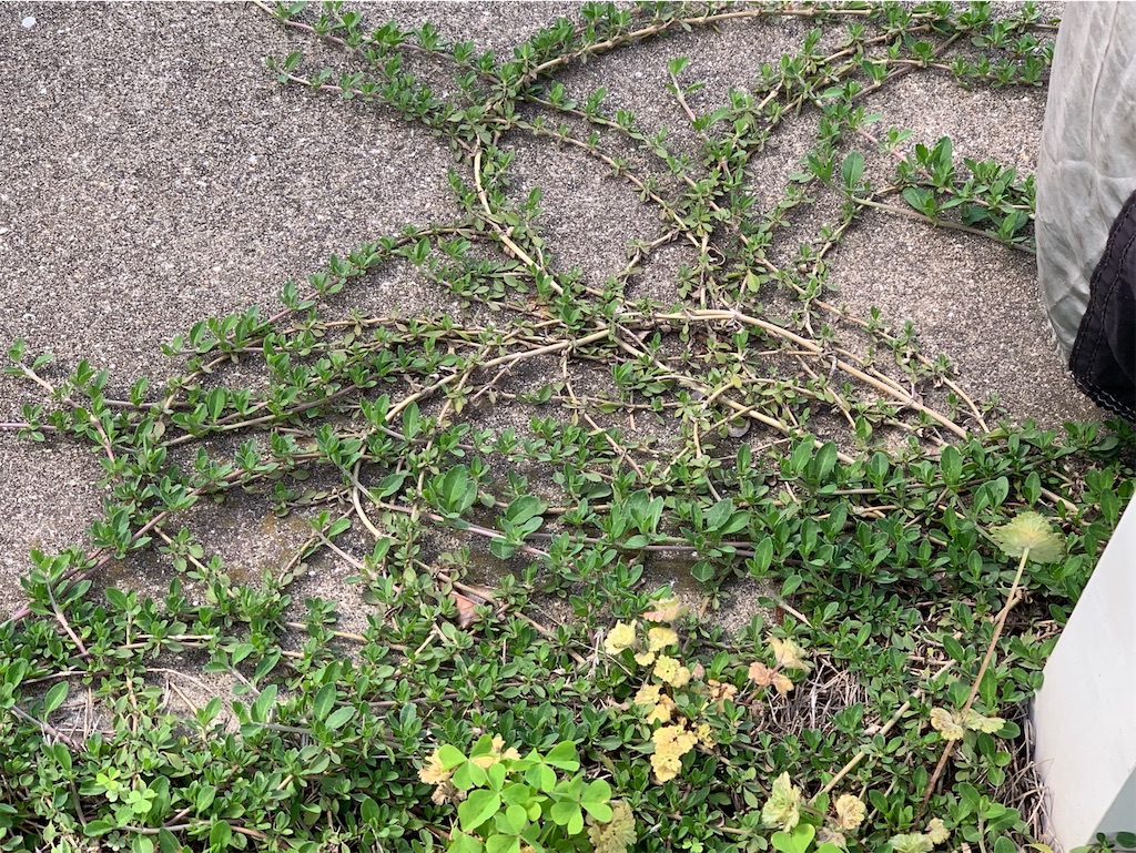 f:id:tantanutakey:20230416172329j:image f:id:tantanutakey:20230416172329j:image