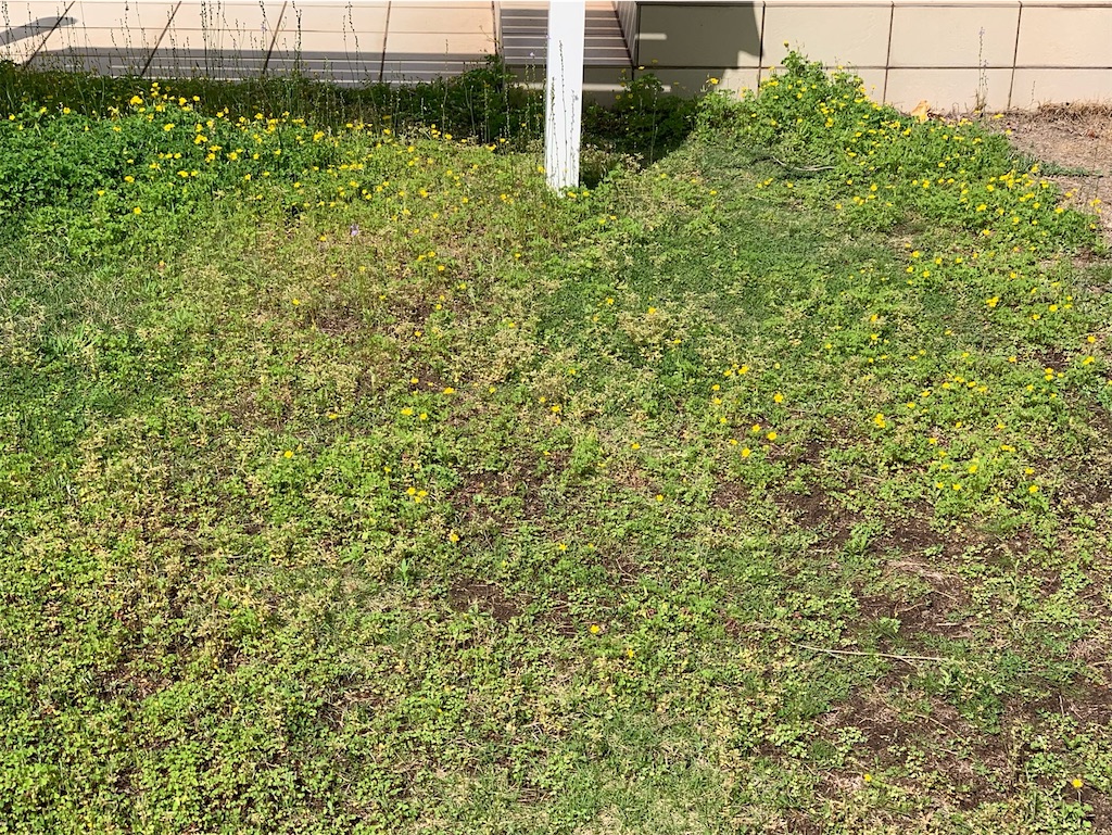 f:id:tantanutakey:20230416172339j:image f:id:tantanutakey:20230416172339j:image