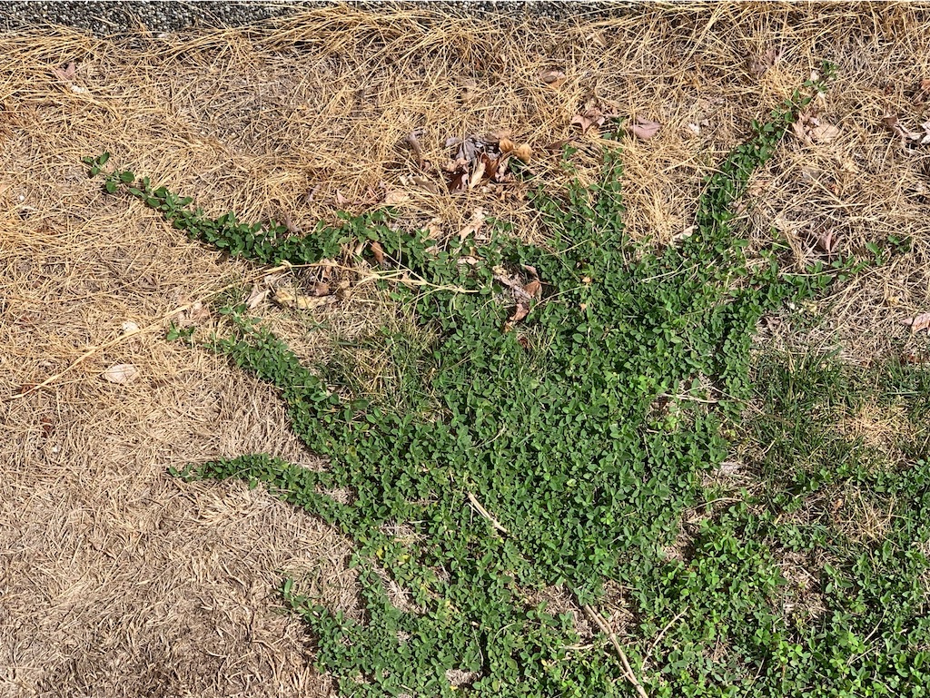 f:id:tantanutakey:20230416172343j:image f:id:tantanutakey:20230416172343j:image