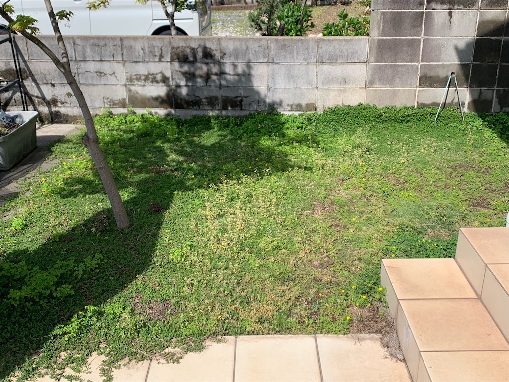 f:id:tantanutakey:20230416172350j:image f:id:tantanutakey:20230416172350j:image