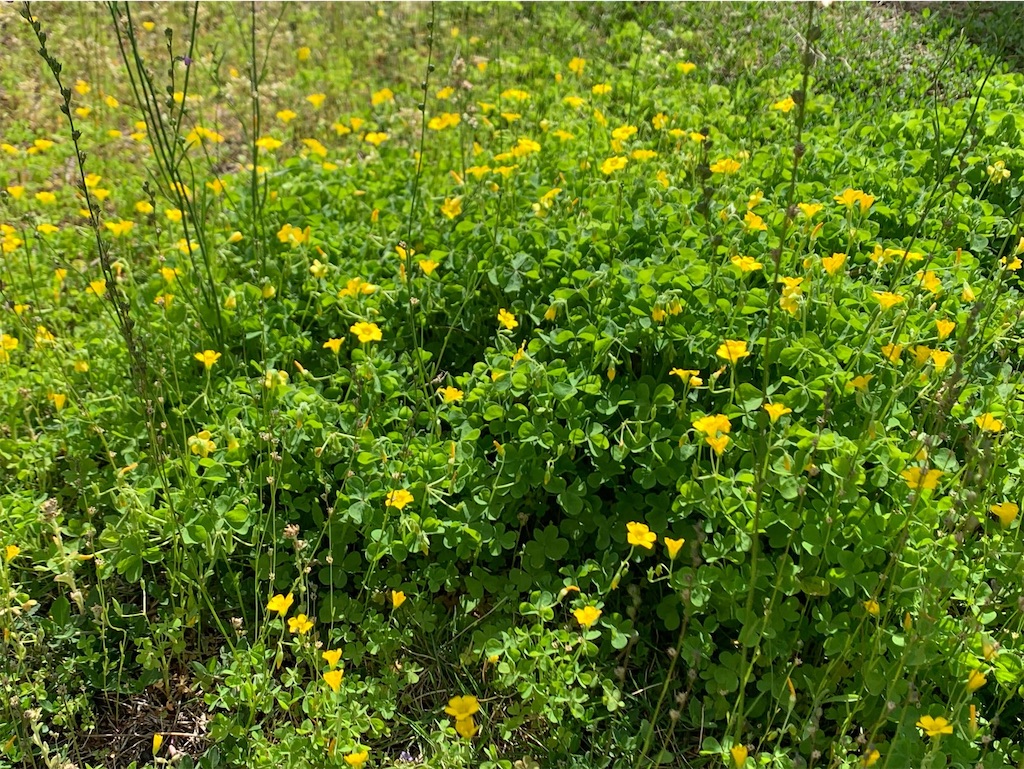 f:id:tantanutakey:20230416172356j:image f:id:tantanutakey:20230416172356j:image