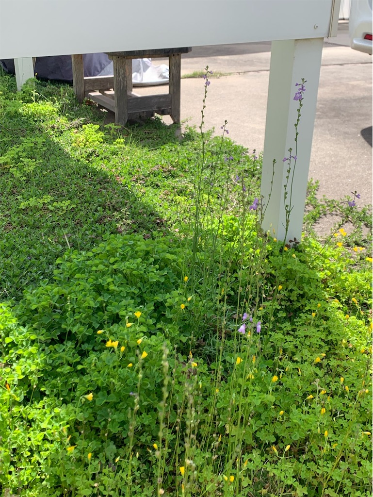 f:id:tantanutakey:20230416172359j:image f:id:tantanutakey:20230416172359j:image