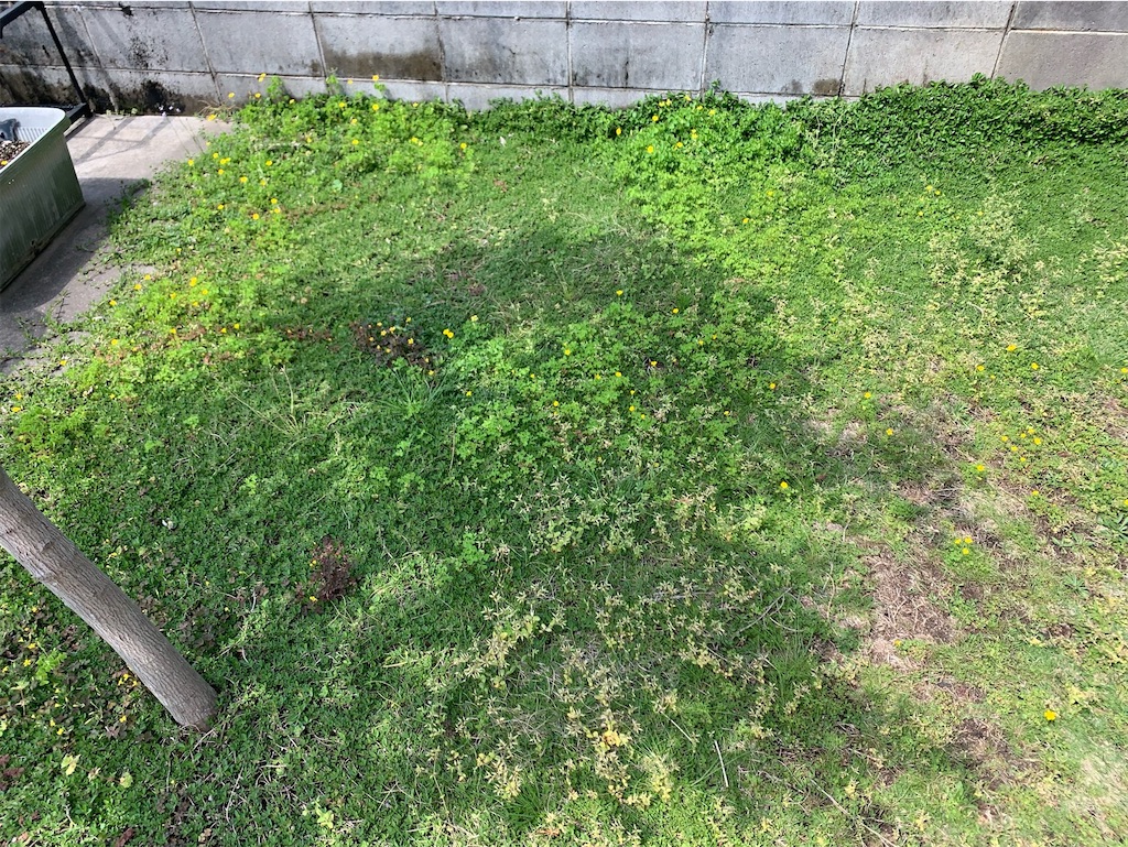 f:id:tantanutakey:20230416172435j:image f:id:tantanutakey:20230416172435j:image