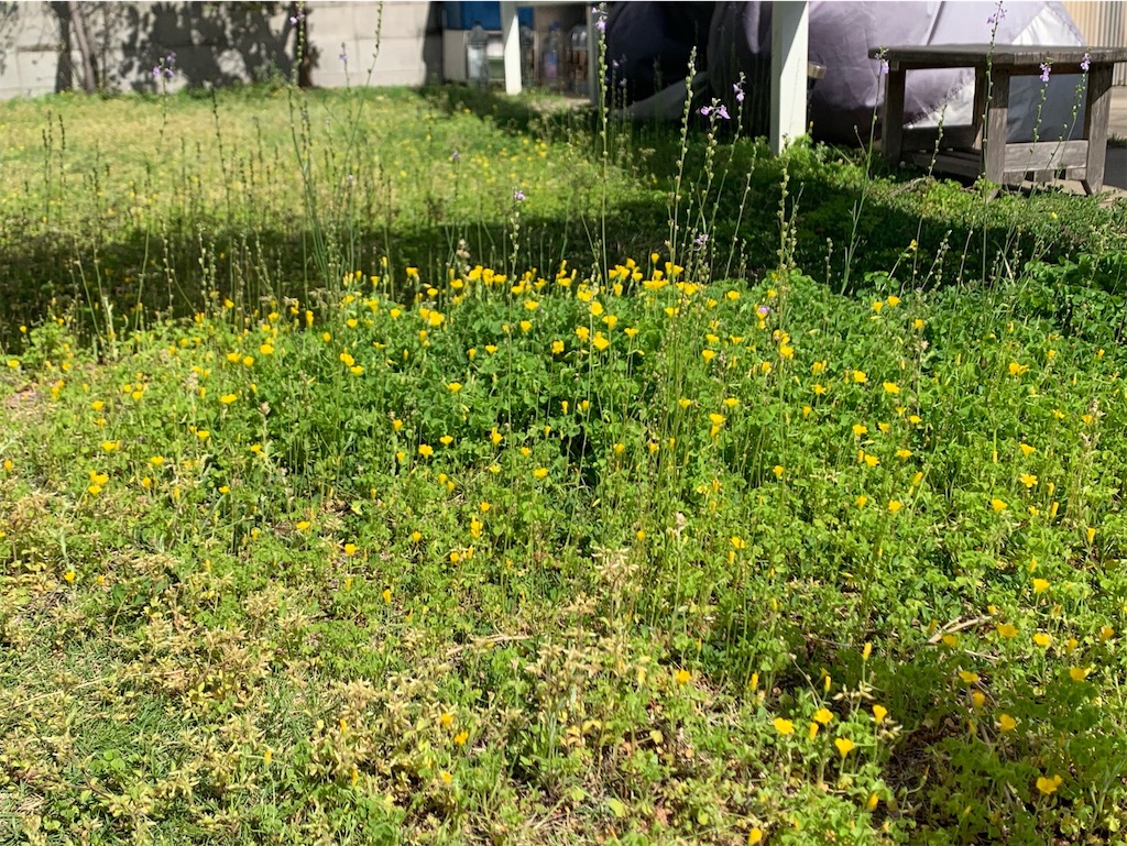 f:id:tantanutakey:20230416172448j:image f:id:tantanutakey:20230416172448j:image