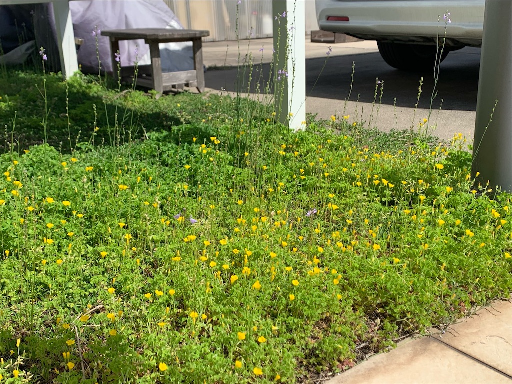 f:id:tantanutakey:20230416172451j:image f:id:tantanutakey:20230416172451j:image