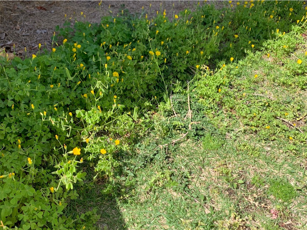 f:id:tantanutakey:20230416172454j:image f:id:tantanutakey:20230416172454j:image