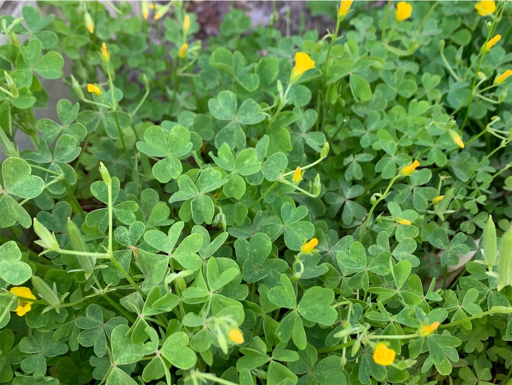 f:id:tantanutakey:20230416172457j:image f:id:tantanutakey:20230416172457j:image