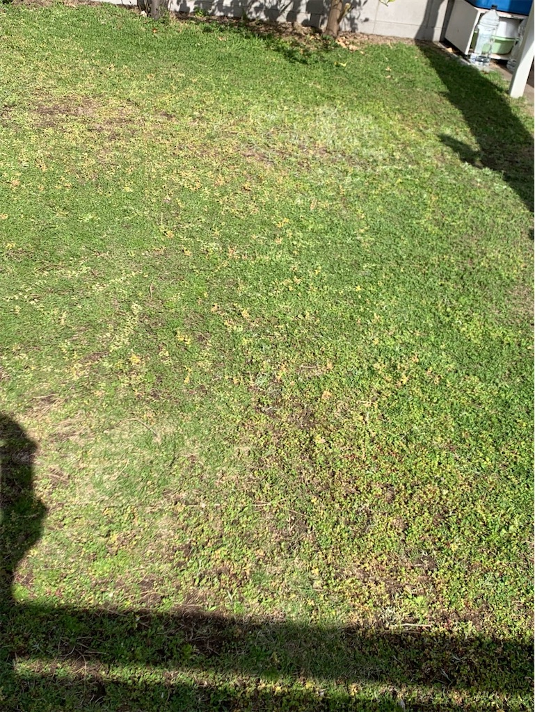 f:id:tantanutakey:20230416172554j:image f:id:tantanutakey:20230416172554j:image