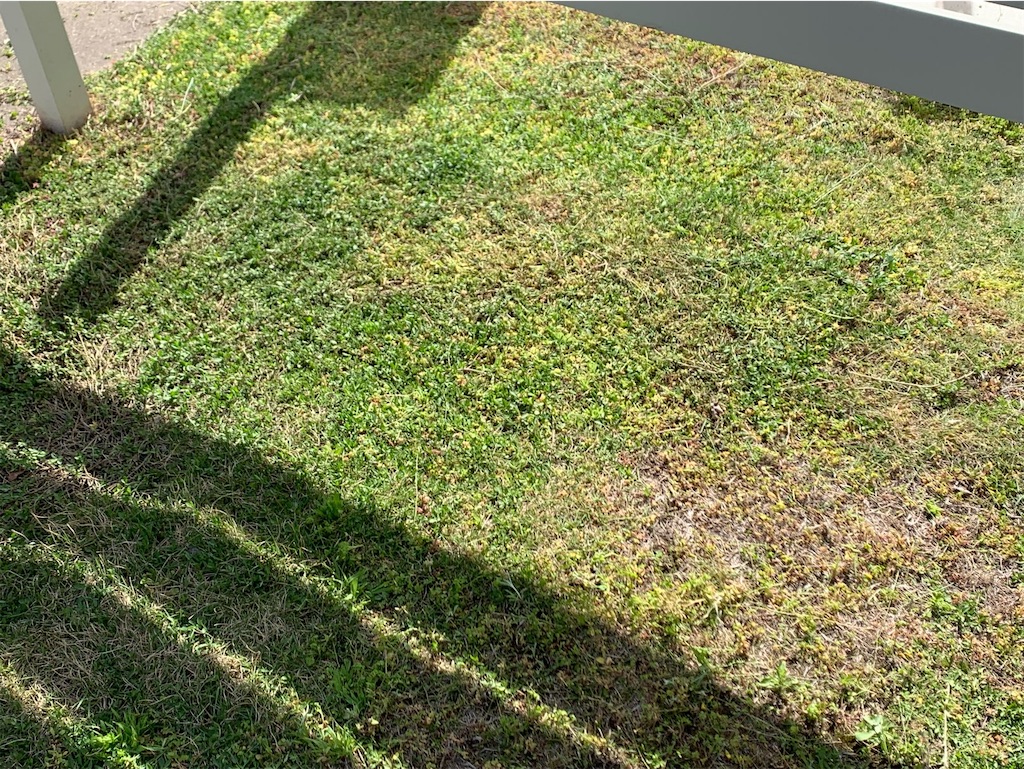 f:id:tantanutakey:20230416172557j:image f:id:tantanutakey:20230416172557j:image