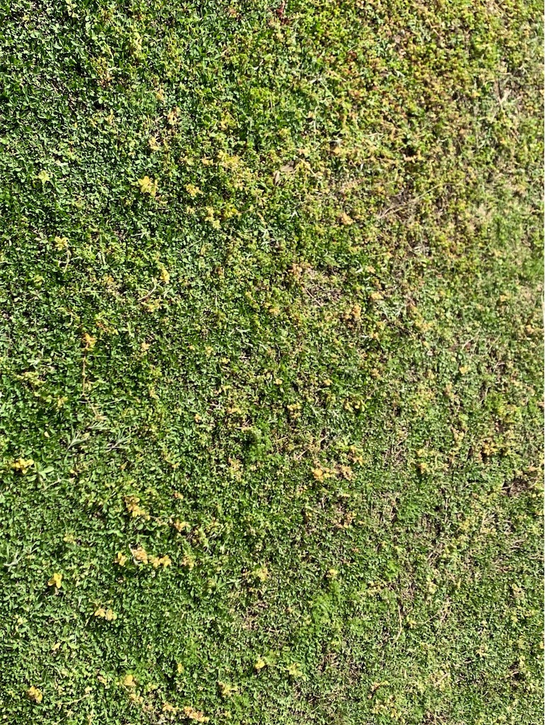 f:id:tantanutakey:20230416172603j:image f:id:tantanutakey:20230416172603j:image