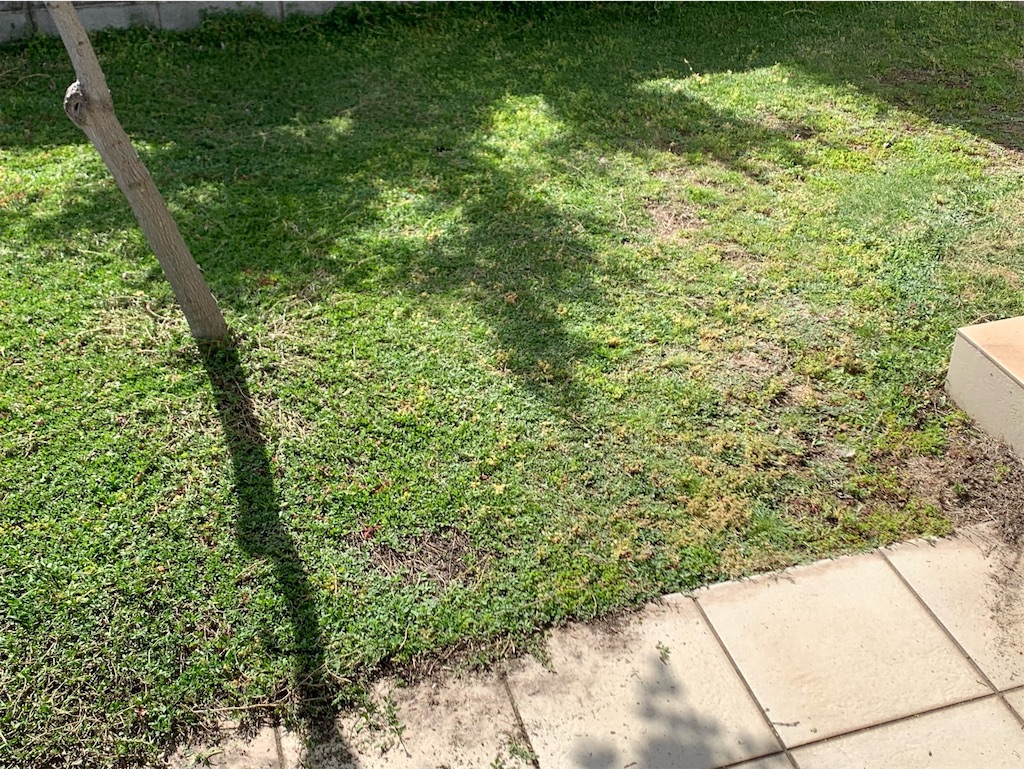 f:id:tantanutakey:20230416172606j:image f:id:tantanutakey:20230416172606j:image