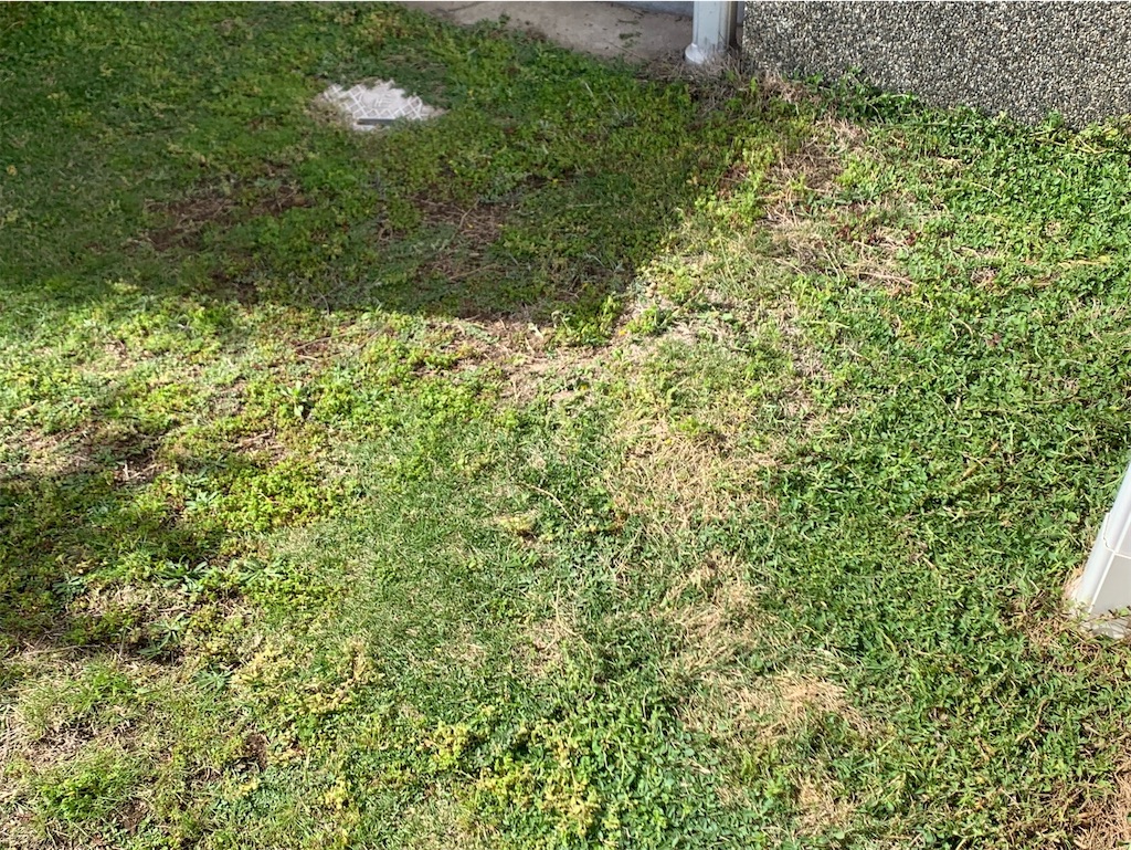 f:id:tantanutakey:20230416172609j:image f:id:tantanutakey:20230416172609j:image