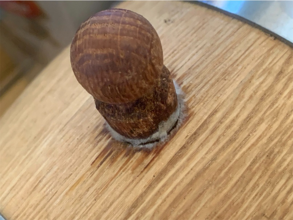 f:id:tantanutakey:20230604084546j:image f:id:tantanutakey:20230604084546j:image