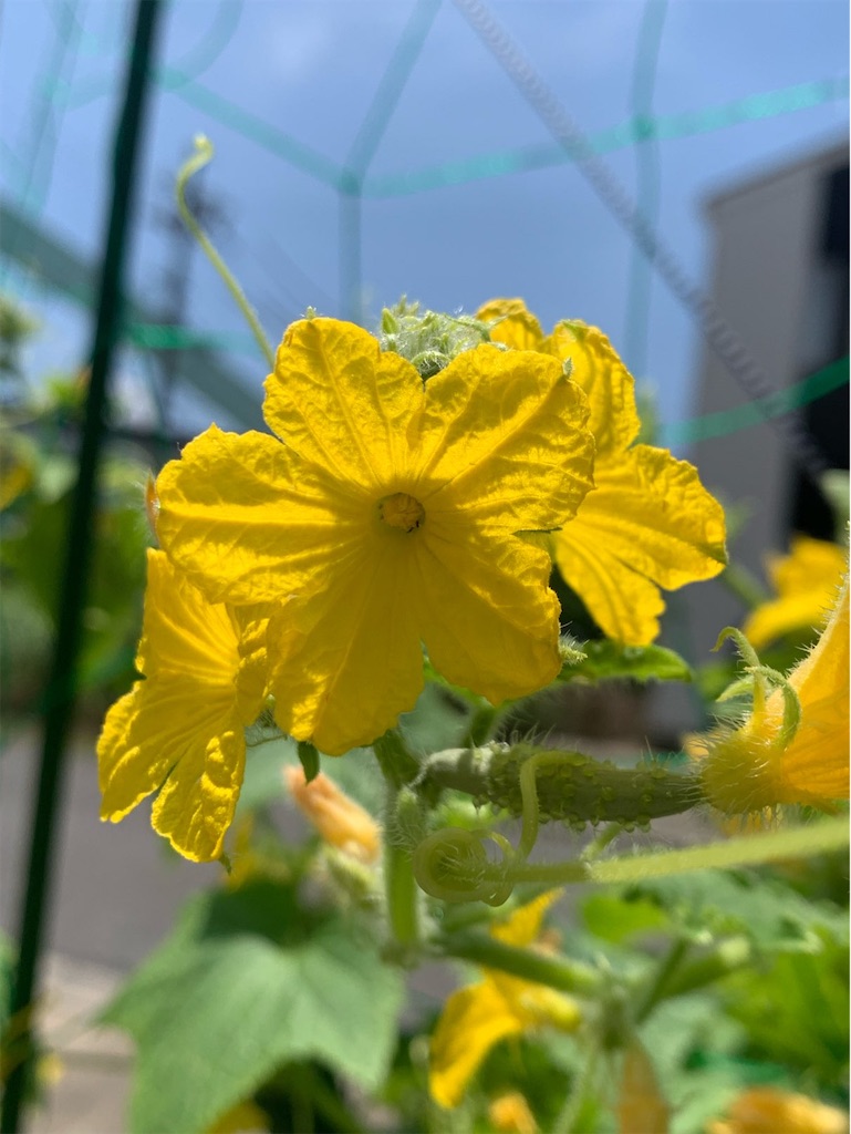 f:id:tantanutakey:20230702111352j:image f:id:tantanutakey:20230702111352j:image