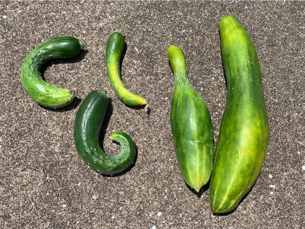 f:id:tantanutakey:20230702111409j:image f:id:tantanutakey:20230702111409j:image