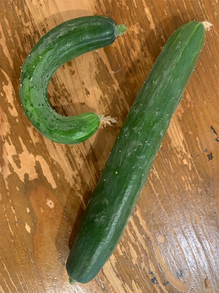 f:id:tantanutakey:20230708105300j:image f:id:tantanutakey:20230708105300j:image