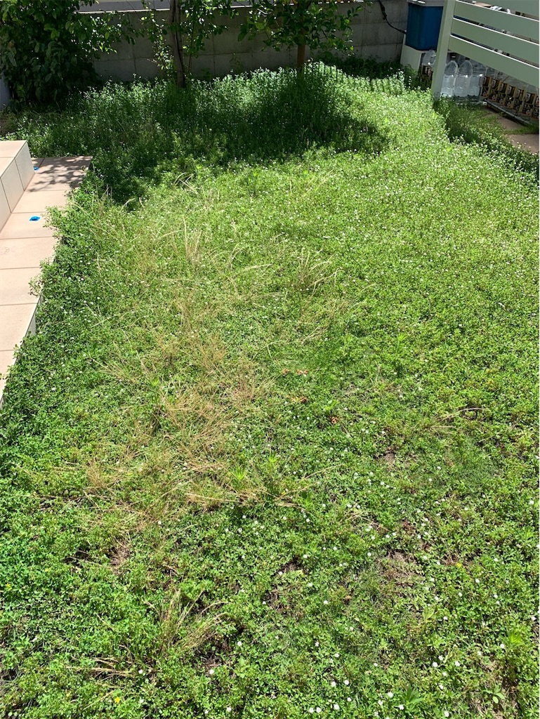 f:id:tantanutakey:20230716133631j:image