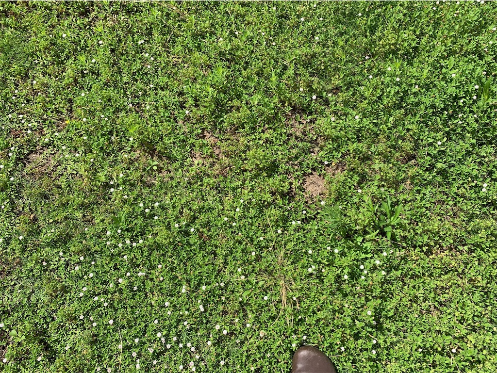 f:id:tantanutakey:20230716133634j:image