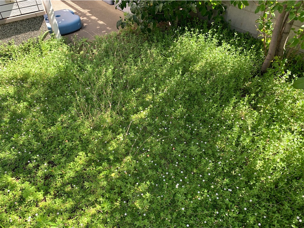 f:id:tantanutakey:20230716133643j:image