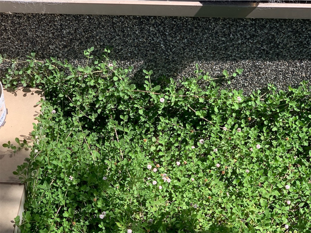 f:id:tantanutakey:20230716133645j:image