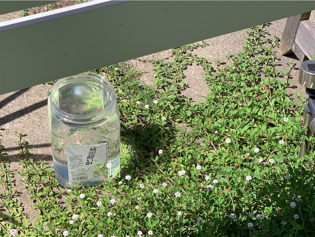 f:id:tantanutakey:20230716133651j:image