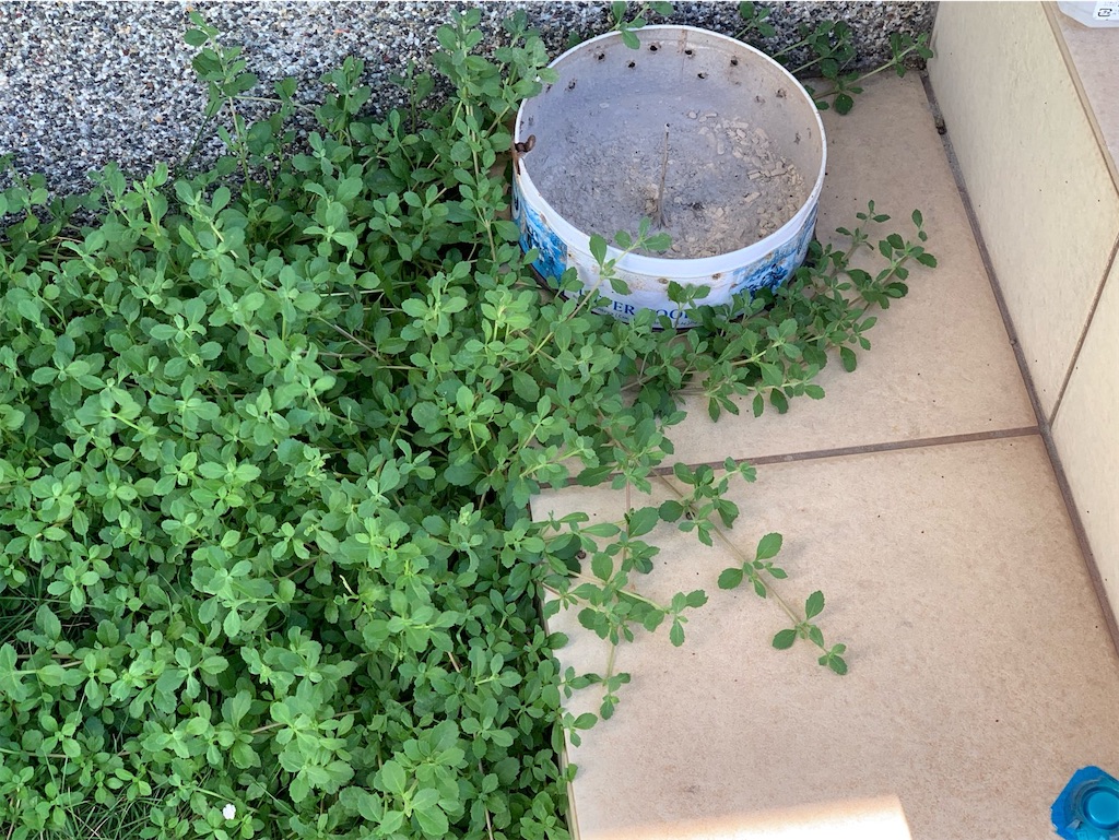 f:id:tantanutakey:20230716133659j:image