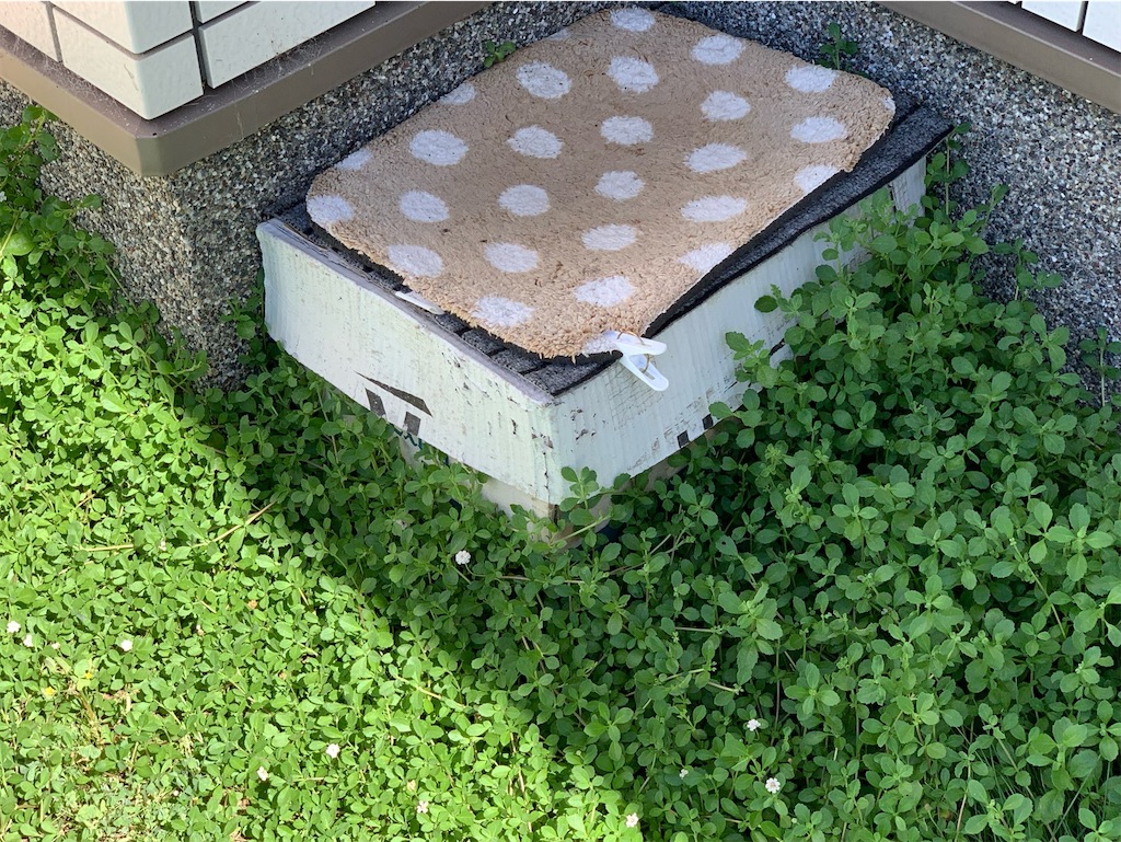 f:id:tantanutakey:20230716133703j:image