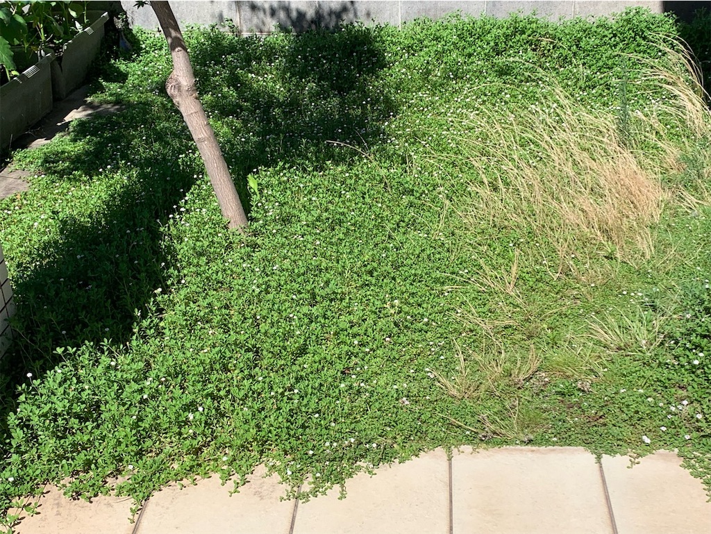 f:id:tantanutakey:20230716133709j:image