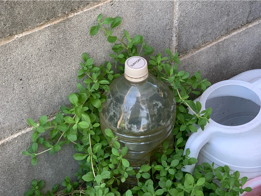 f:id:tantanutakey:20230716133718j:image